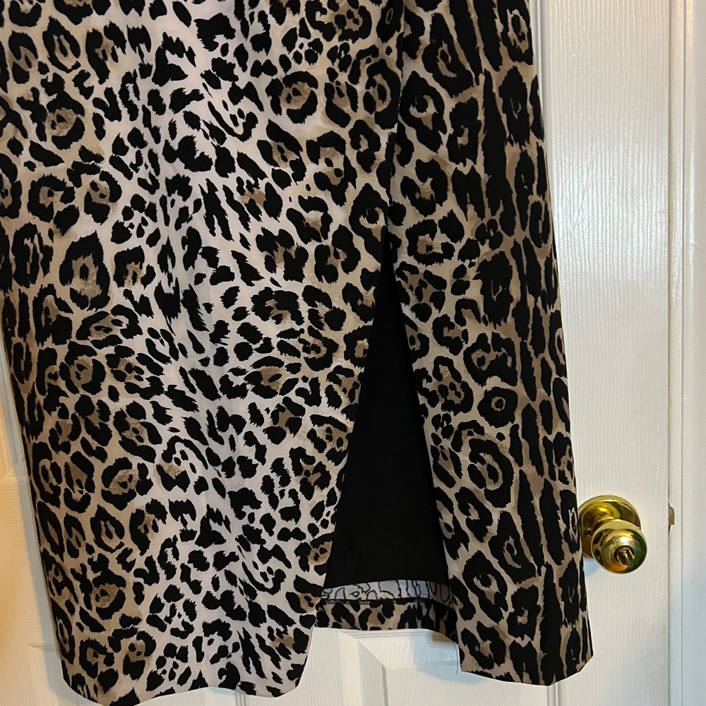 Leopard Print Dress - Picture 2 of 5